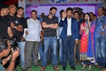 son-of-satyamurthy-success-meet-01