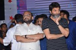 son-of-satyamurthy-success-meet-02