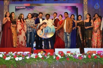 Speedunnodu Audio Launch 2 - 6 of 79