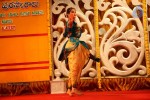 Sri Kala Sudha Ugadi Puraskaram Awards Photos - 26 of 330
