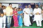 Sri Vasavi Kanyaka Parameswari Charitra Audio Launch - 20 of 98