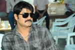 Srikanth New Film Opening - 36 of 151