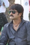 Srikanth New Movie Launch - 15 of 97