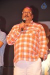 Srimannarayana Audio Launch 05 - 64 of 127