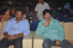 Srimannarayana Audio Launch 01 - 69 of 97