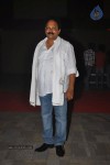 Srimannarayana Audio Launch 01 - 72 of 97