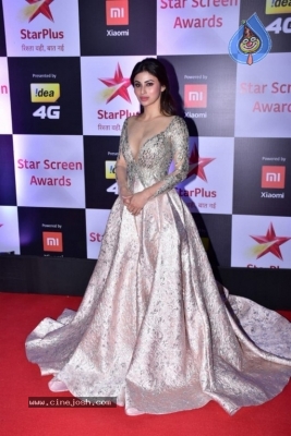 Star Screen Awards 2018 Photos - 9 of 40