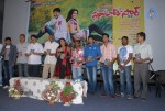 Student Star Movie Audio Launch - 31 of 43