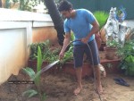 suriya-my-tree-challenge-photos