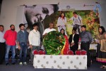 Surya the Great Audio Launch - 11 of 26