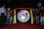 sye-aata-movie-audio-launch