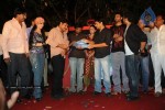 sye-aata-movie-audio-launch