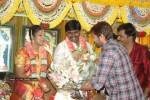 Tamil Celebs at Director Hari Brother Wedding - 10 of 88