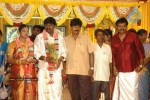 Tamil Celebs at Director Hari Brother Wedding - 11 of 88