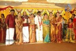 Tamil Celebs at Director Hari Brother Wedding - 16 of 88