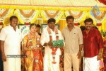 Tamil Celebs at Director Hari Brother Wedding - 22 of 88