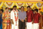 Tamil Celebs at Director Hari Brother Wedding - 27 of 88