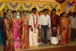 Tamil Celebs at Director Hari Brother Wedding - 41 of 88