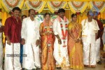 Tamil Celebs at Director Hari Brother Wedding - 45 of 88