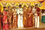 Tamil Celebs at Director Hari Brother Wedding - 49 of 88