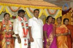 Tamil Celebs at Director Hari Brother Wedding - 50 of 88