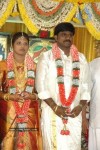 Tamil Celebs at Director Hari Brother Wedding - 53 of 88