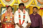 Tamil Celebs at Director Hari Brother Wedding - 62 of 88