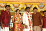 Tamil Celebs at Director Hari Brother Wedding - 63 of 88
