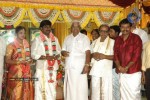 Tamil Celebs at Director Hari Brother Wedding - 65 of 88