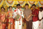 Tamil Celebs at Director Hari Brother Wedding - 78 of 88