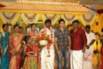 Tamil Celebs at Director Hari Brother Wedding - 83 of 88