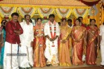 Tamil Celebs at Director Hari Brother Wedding - 88 of 88