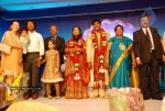 Director Madhumitha Brother Wedding Reception - 29 of 55