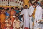 Tamil Celebs at Kalaipuli Thanu Son Wedding - 40 of 116