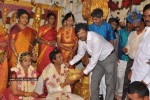 Tamil Celebs at Kalaipuli Thanu Son Wedding - 87 of 116