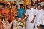 Tamil Celebs at Kalaipuli Thanu Son Wedding - 92 of 116