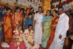 Tamil Celebs at Kalaipuli Thanu Son Wedding - 96 of 116