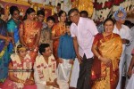 Tamil Celebs at Kalaipuli Thanu Son Wedding - 110 of 116