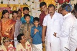 Tamil Celebs at Kalaipuli Thanu Son Wedding - 114 of 116