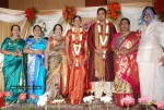 Tamil Celebs at SSR Son Wedding Reception Photos - 11 of 75
