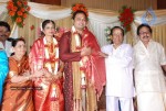 Tamil Celebs at SSR Son Wedding Reception Photos - 31 of 75