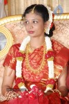 Tamil Celebs at SSR Son Wedding Reception Photos - 39 of 75