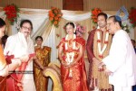 Tamil Celebs at SSR Son Wedding Reception Photos - 49 of 75