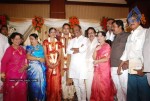 Tamil Celebs at SSR Son Wedding Reception Photos - 52 of 75