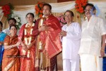 Tamil Celebs at SSR Son Wedding Reception Photos - 60 of 75