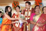 Tamil Celebs at SSR Son Wedding Reception Photos - 70 of 75