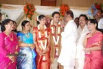 Tamil Celebs at SSR Son Wedding Reception Photos - 73 of 75