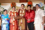 Tamil Celebs at SSR Son Wedding Reception Photos - 74 of 75