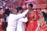 Tamil Stars at Amala Paul Wedding  - 8 of 15