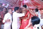 Tamil Stars at Amala Paul Wedding  - 12 of 15